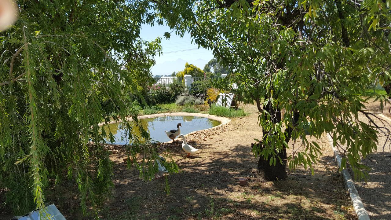 Merindol Manor Riebeek-West Luaran gambar