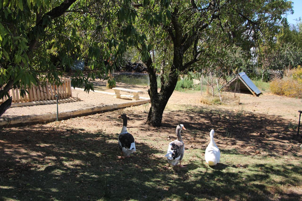 Merindol Manor Riebeek-West Luaran gambar